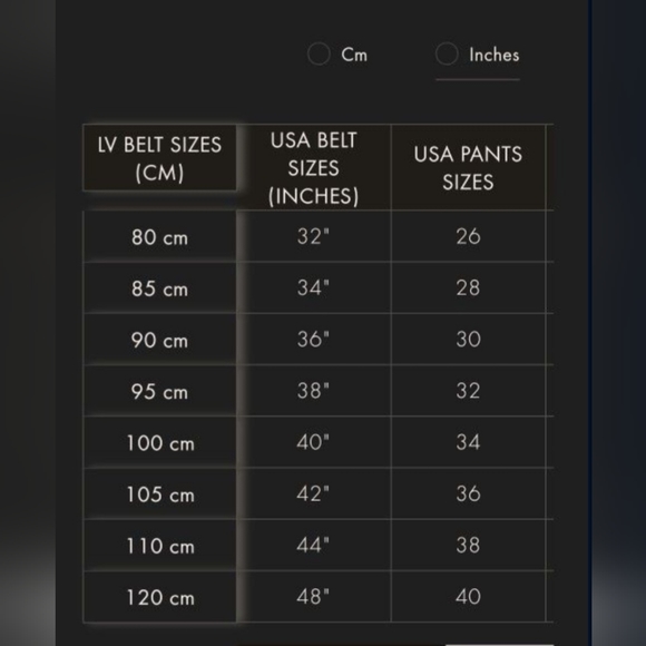 Louis Vuitton belt - Picture 6 of 7